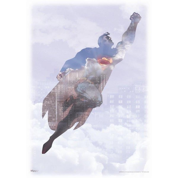 Deluxdesigns Superman Metropolis Marvel MightyPrint Wall Art DE2578156